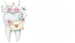 Dear Future Dentist Mail Club